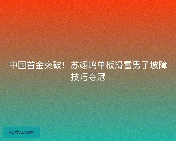 中国首金突破！苏翊鸣单板滑雪男子坡障技巧夺冠
